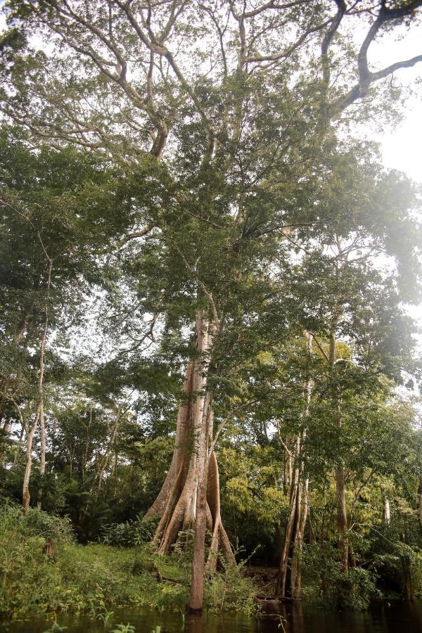 Amazonia Jungle Hotel Iranduba Bagian luar foto