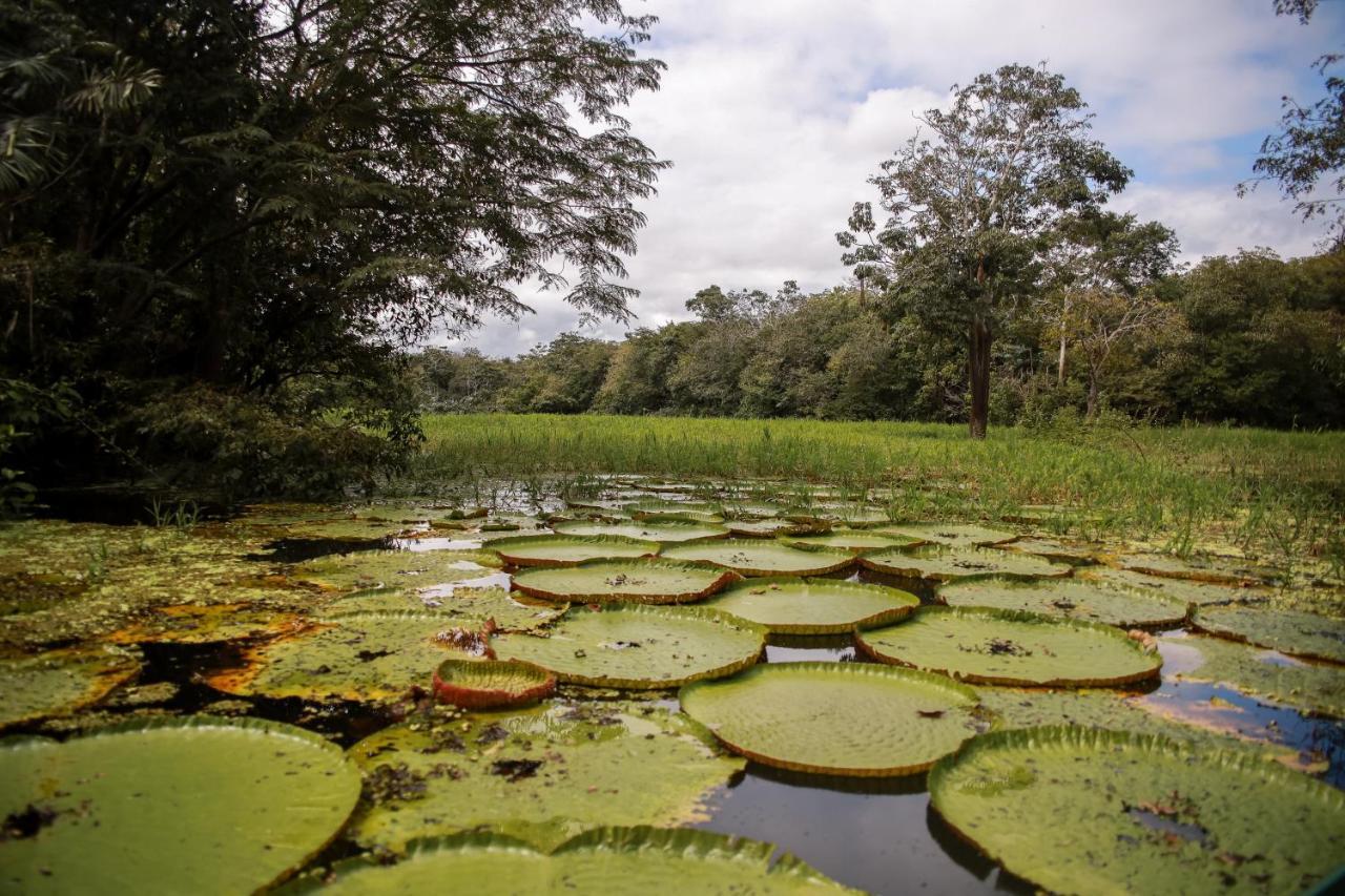 Amazonia Jungle Hotel Iranduba Bagian luar foto